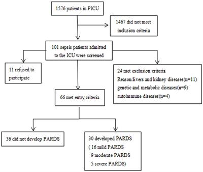 Diagnostic Accuracy of Plasma Ghrelin Concentrations in Pediatric Sepsis-Associated Acute Respiratory Distress Syndrome: A Single-Center Cohort Study